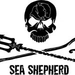 logo-sea-shepherd