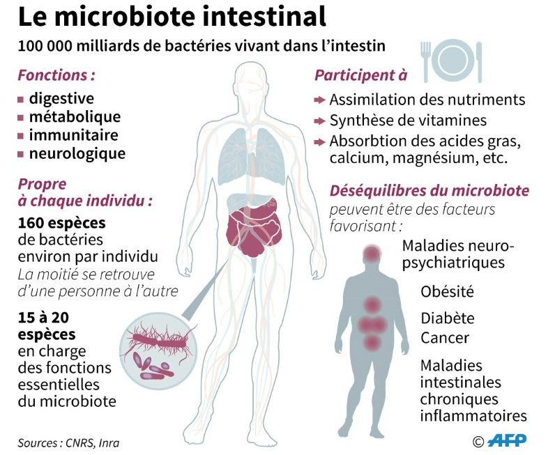 microbiote-creperie